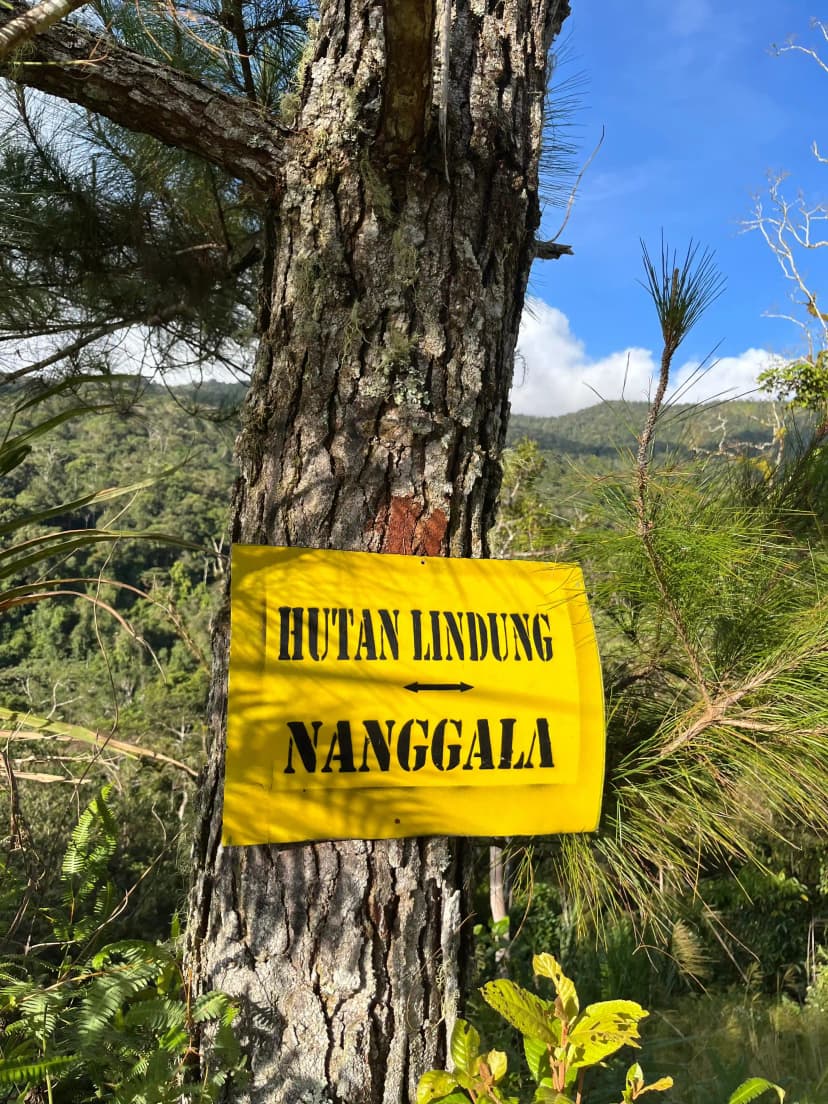 Hutan Lindung Nanggala