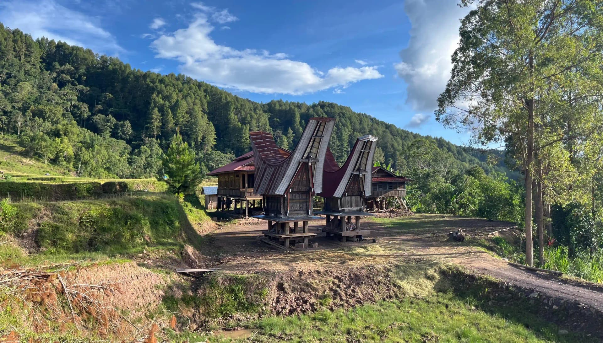 Budaya Toraja