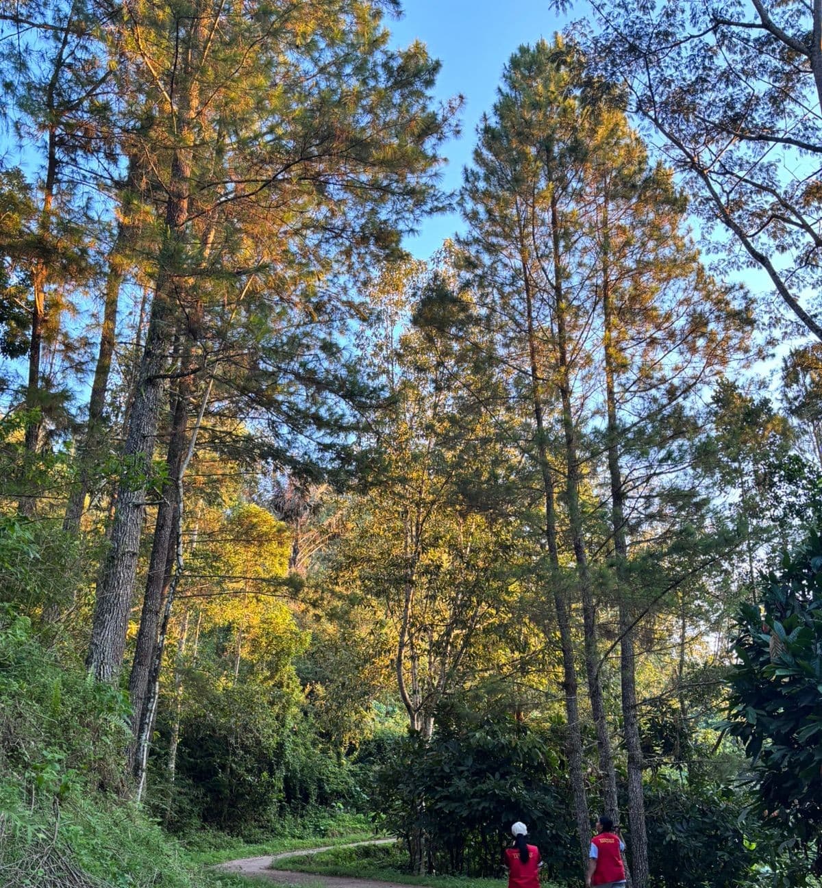 Pemandangan Lembang Nanna