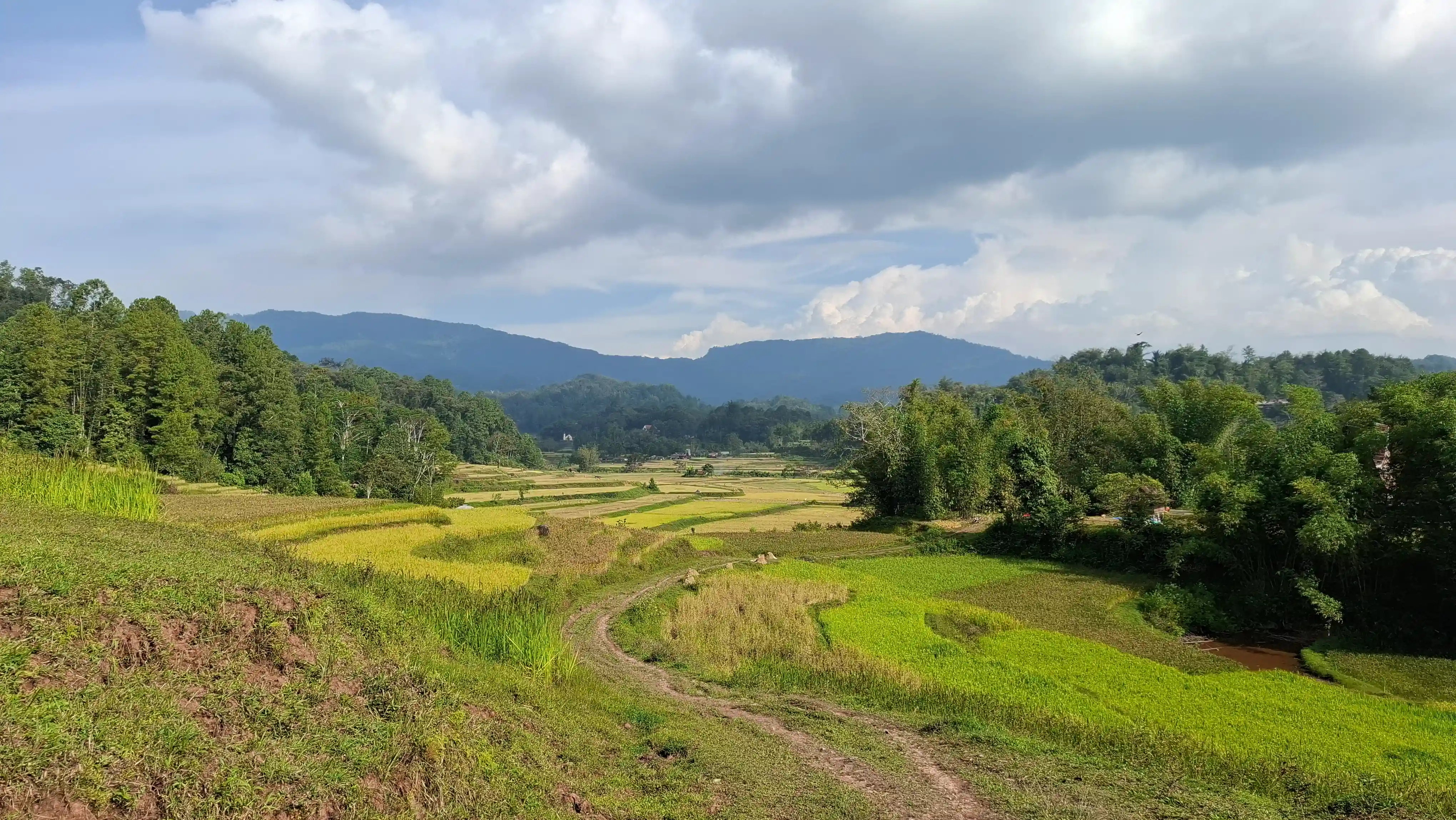 Dusun Buntu Palilli'